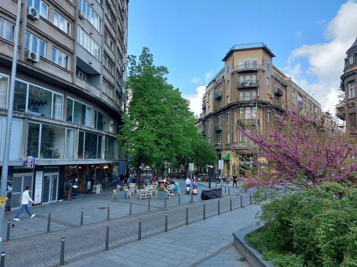 Lotta Apartment Beograd Eksteriør billede